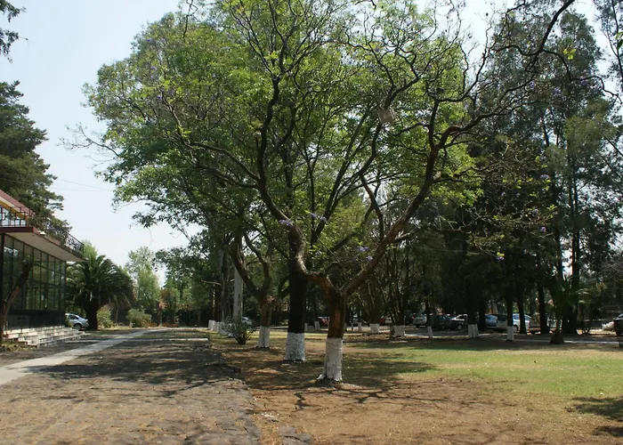 Casa Xitla * Mexico City